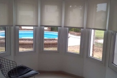 091e01f8-bd65-475e-8516-3bb66ab5386c