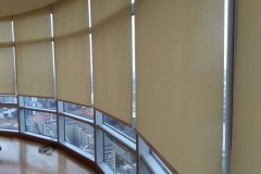 1bba971a-f0c6-414f-9f3b-bbb087a0a1e3