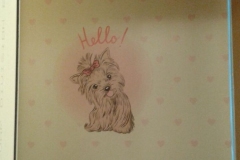 2017-09-15-10.22.08-3