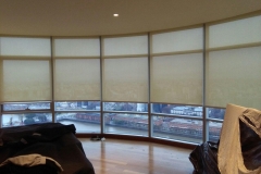 36a7b736-a84f-4585-a790-0070115ab3fe