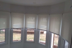 7b052379-8bd5-4bc6-aeec-a061e81da2e9