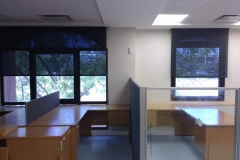 b0375146-13a5-4d22-9286-028a6f732fa0